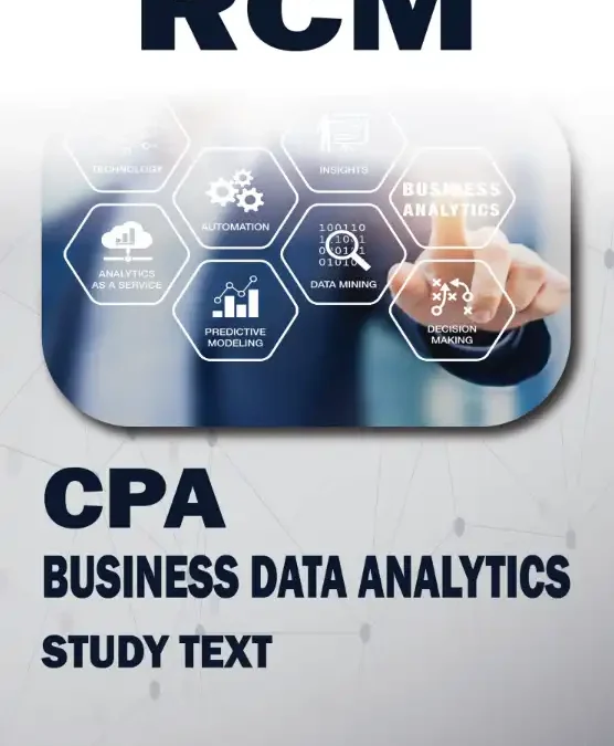 The Next Frontier for Accountants: Business Data Analytics